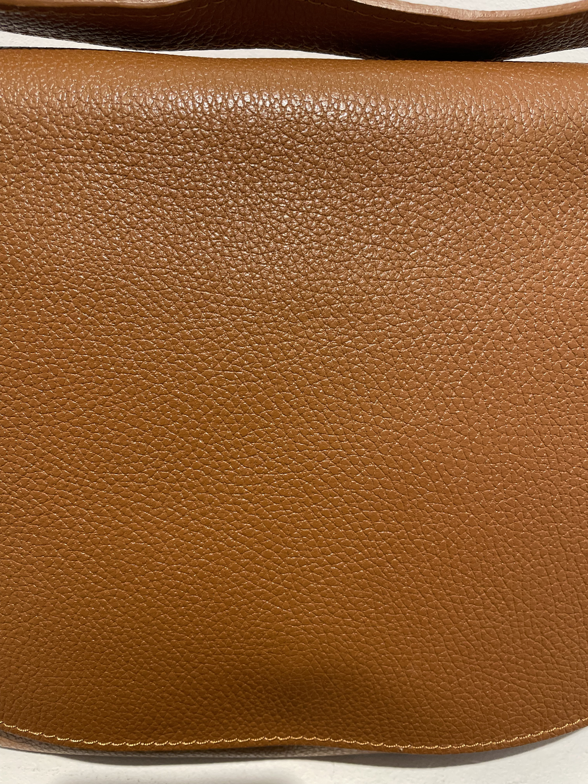 SAC CAMEL 1