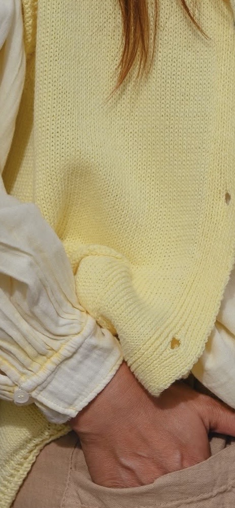 GILET JAUNE 1
