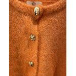 GILET ORANGE 1
