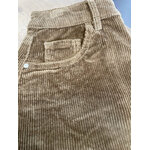 PANT CAMEL 2