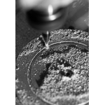 2_dial_producing_0290_0291_7_low