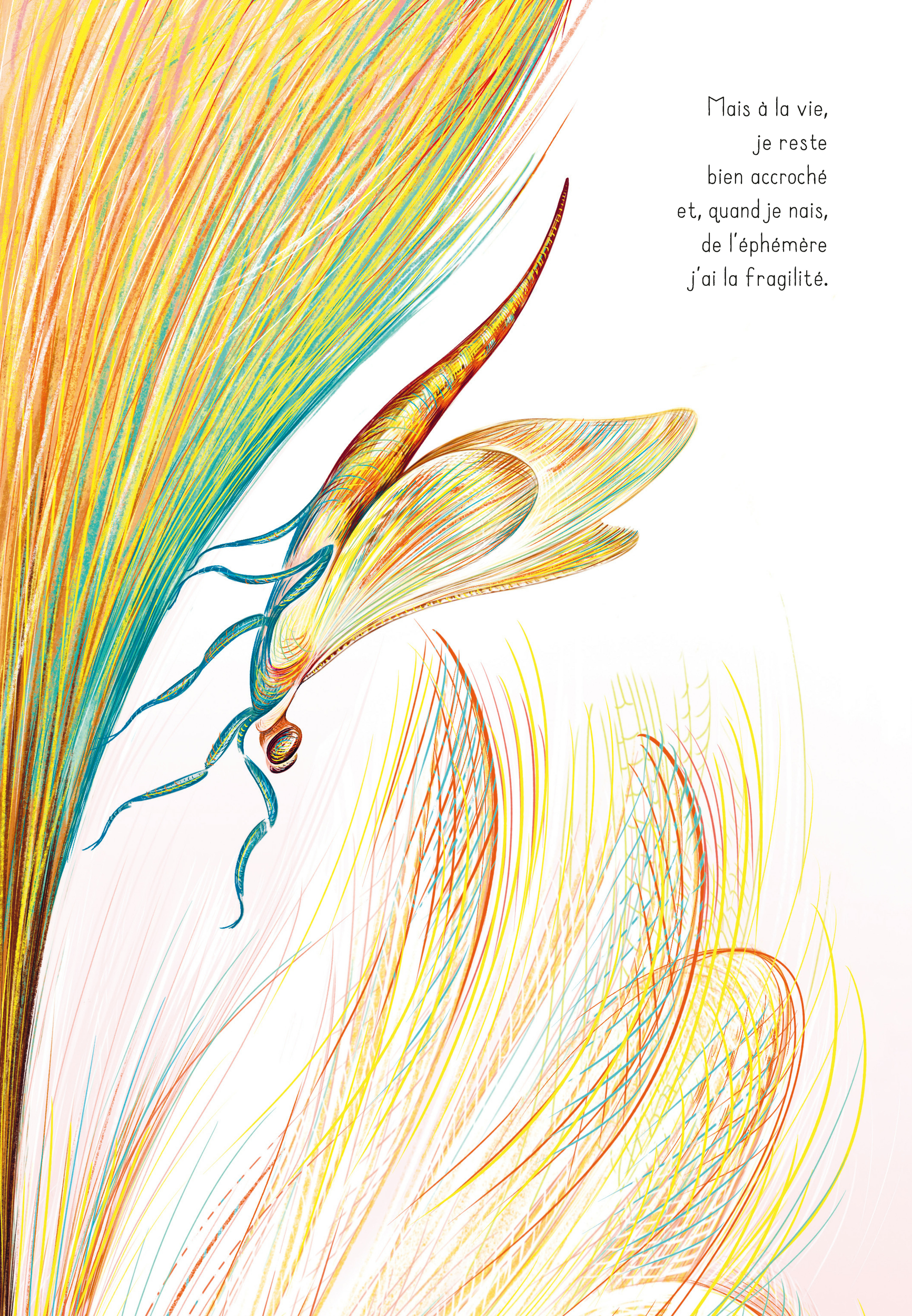 Illustrations Vivant