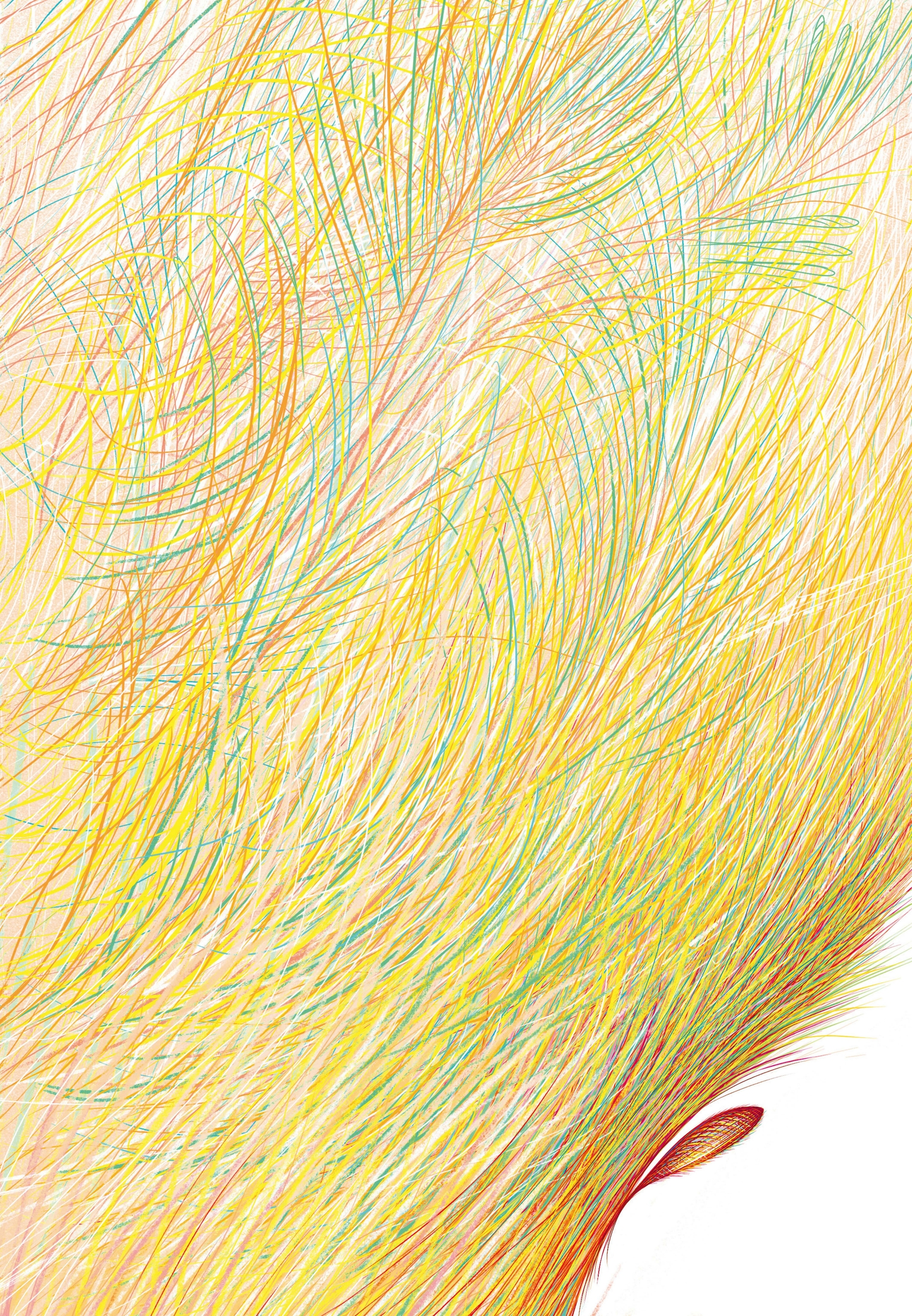 Illustrations Vivant