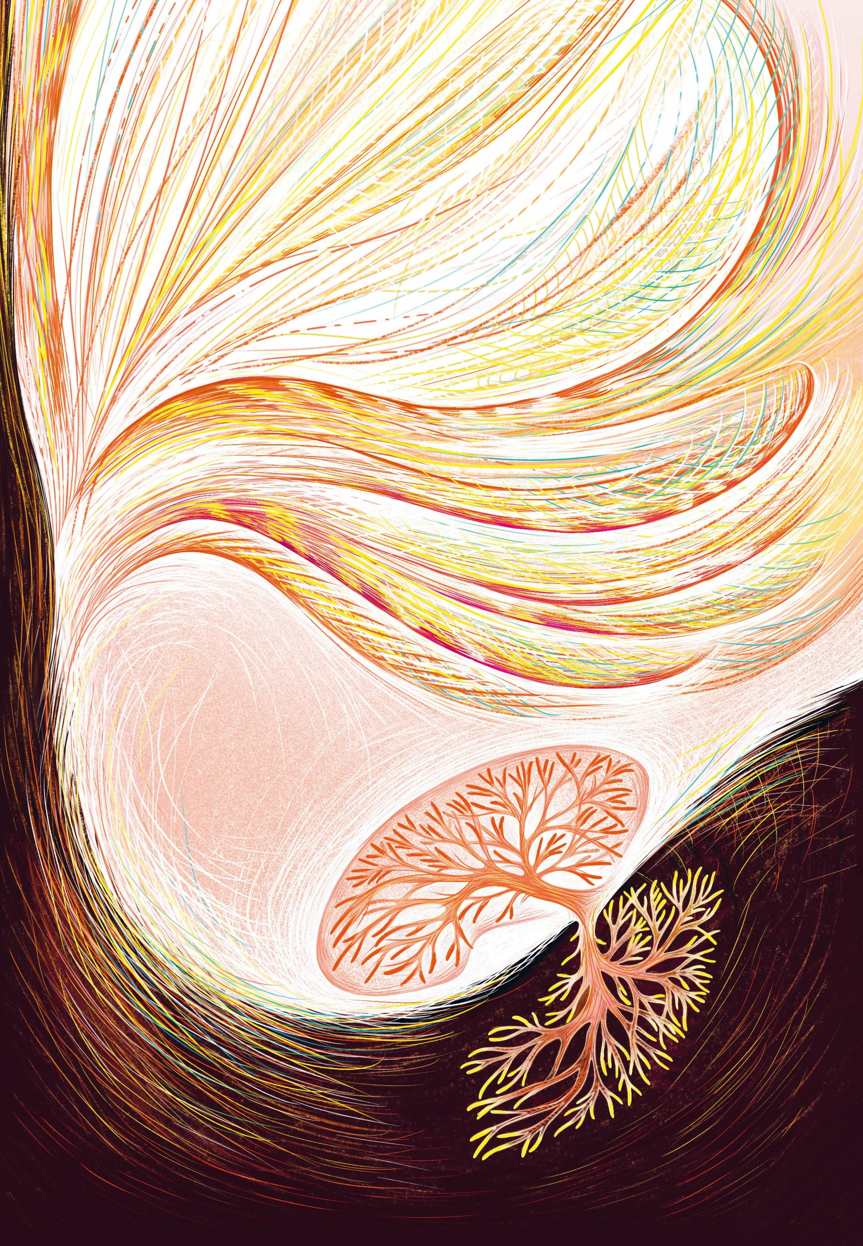 Illustrations Vivant