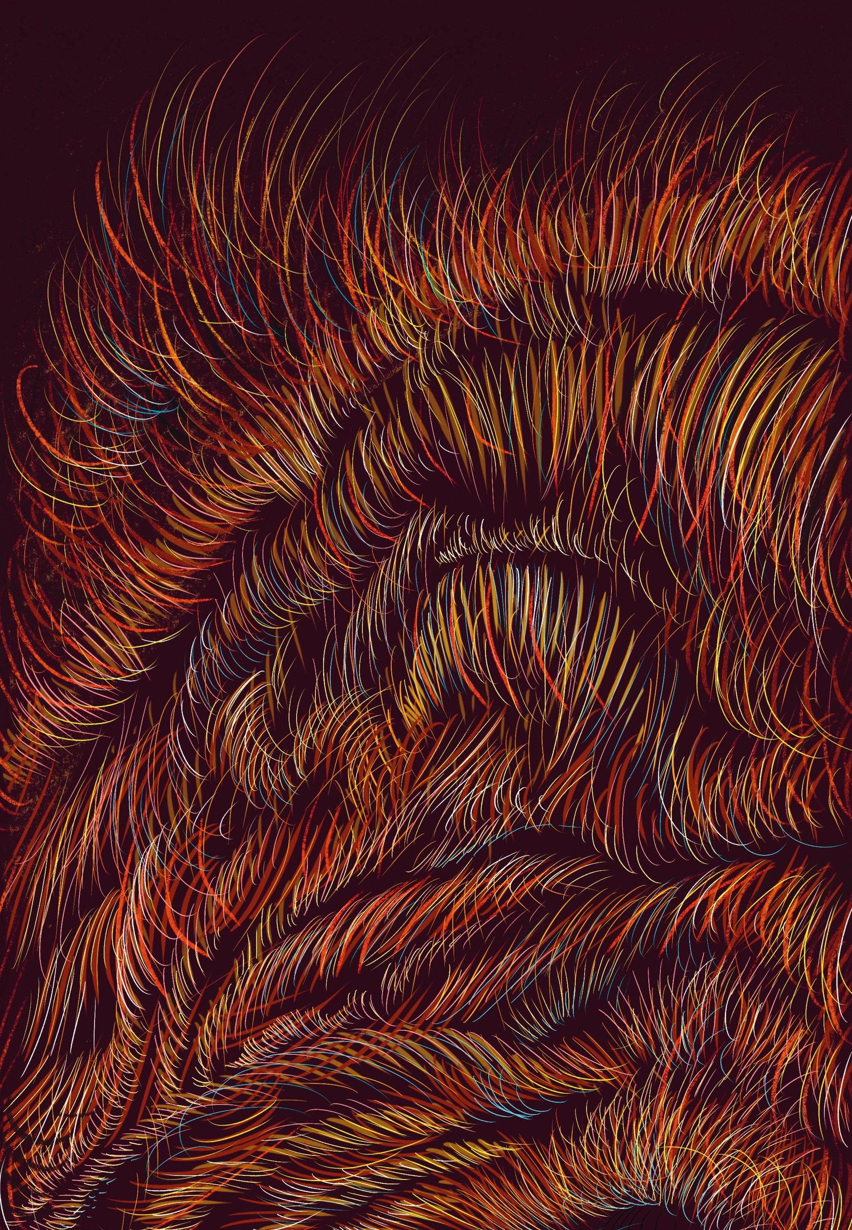 Illustrations Vivant