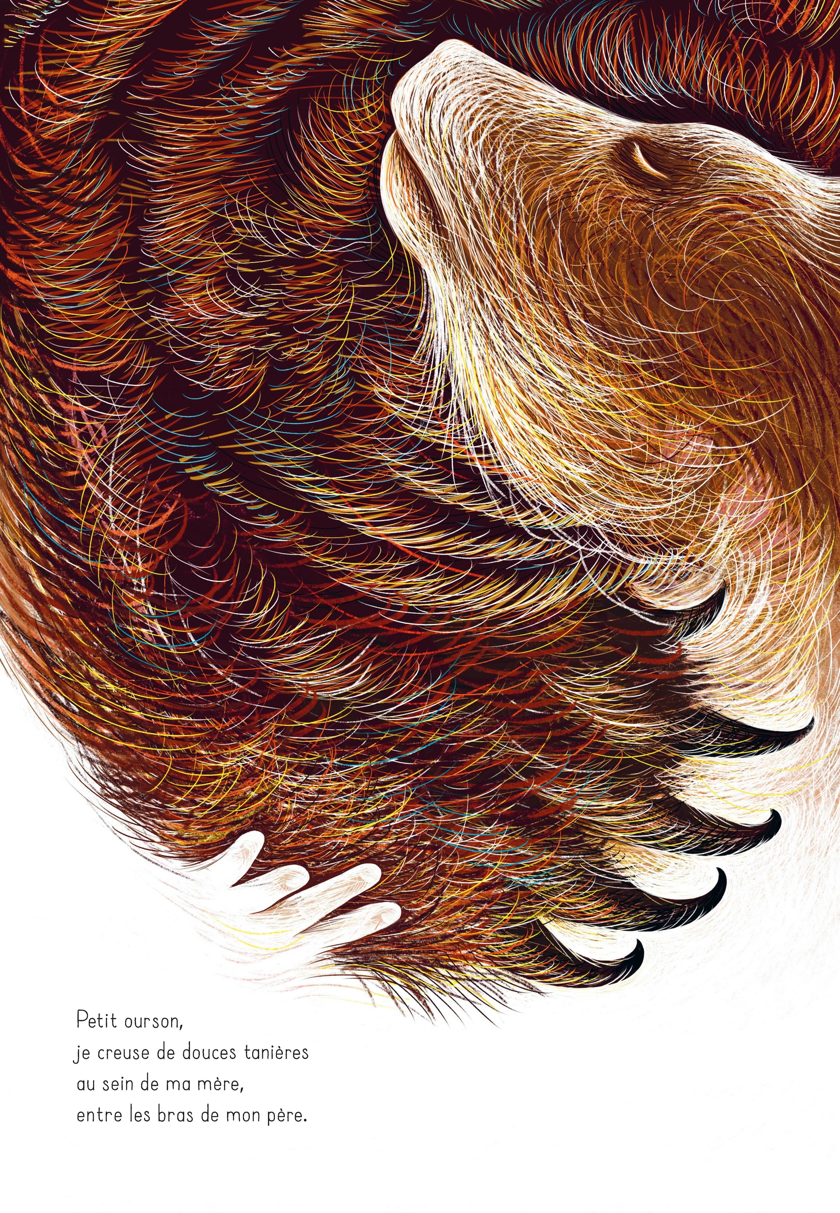 Illustrations Vivant