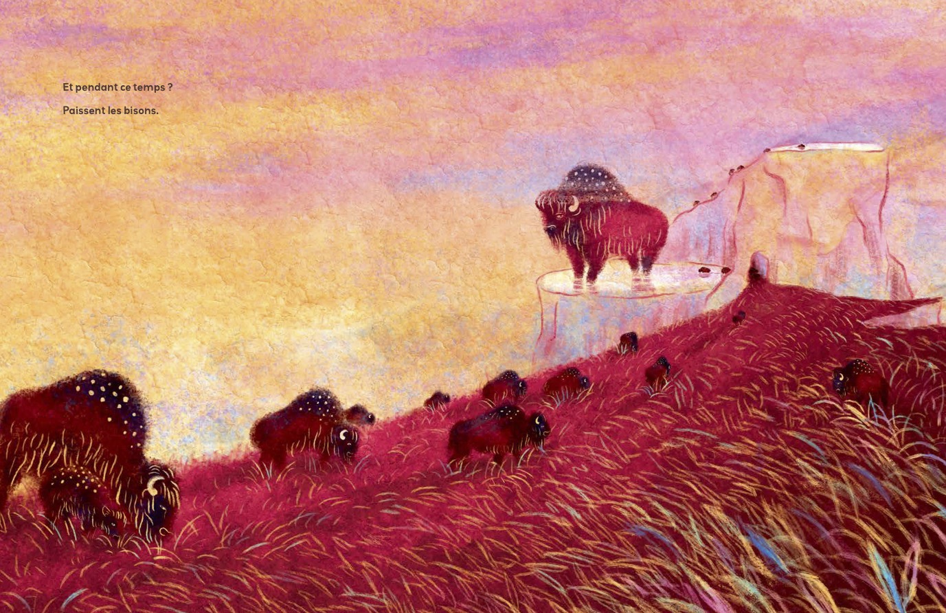 Illustrations jpeg Et pendant ce temps paissent les bisons