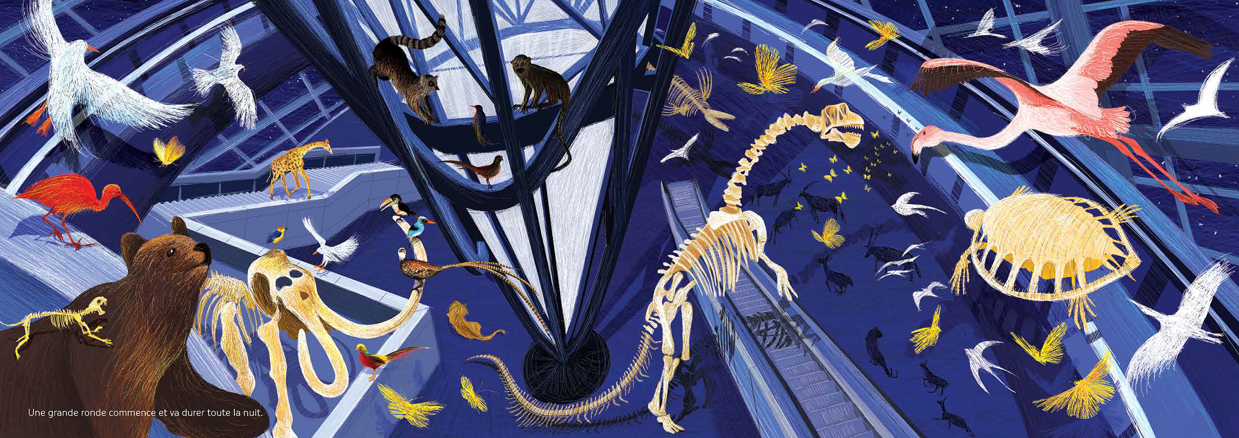 Illustrations png Cette nuit-là au musée
