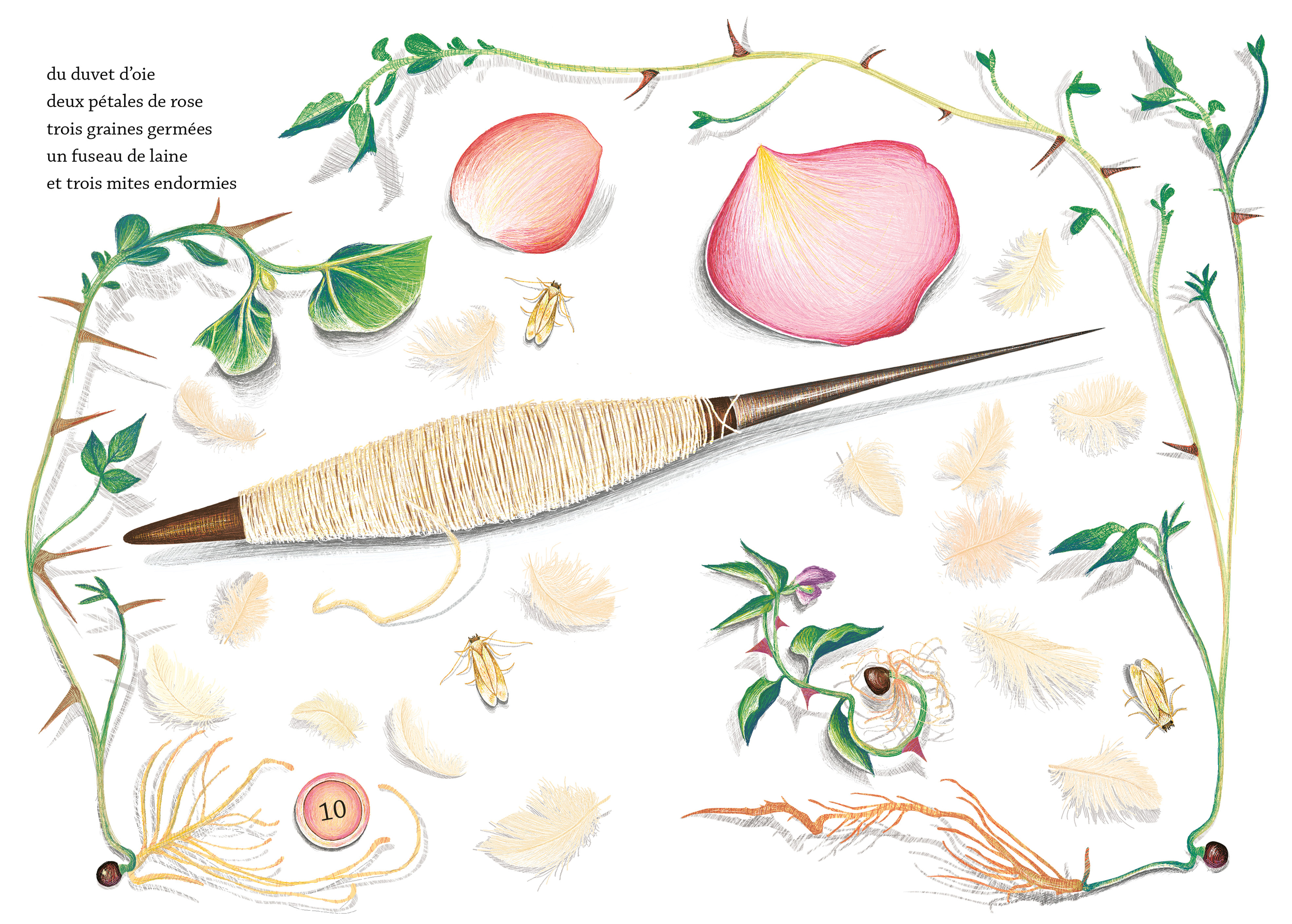Illustrations jpeg Dans les poches dAlice