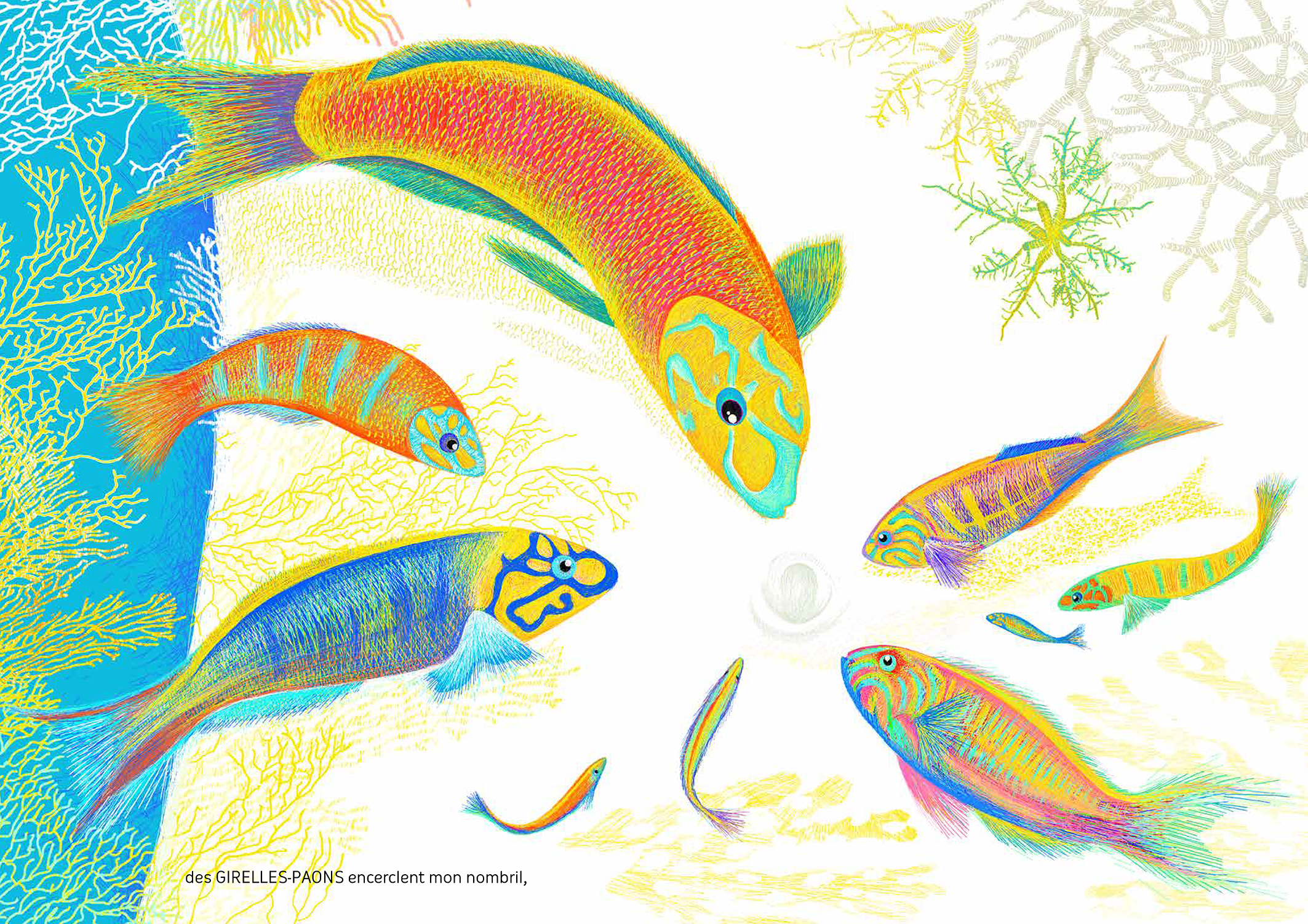 Illustrations jpeg Des vagues