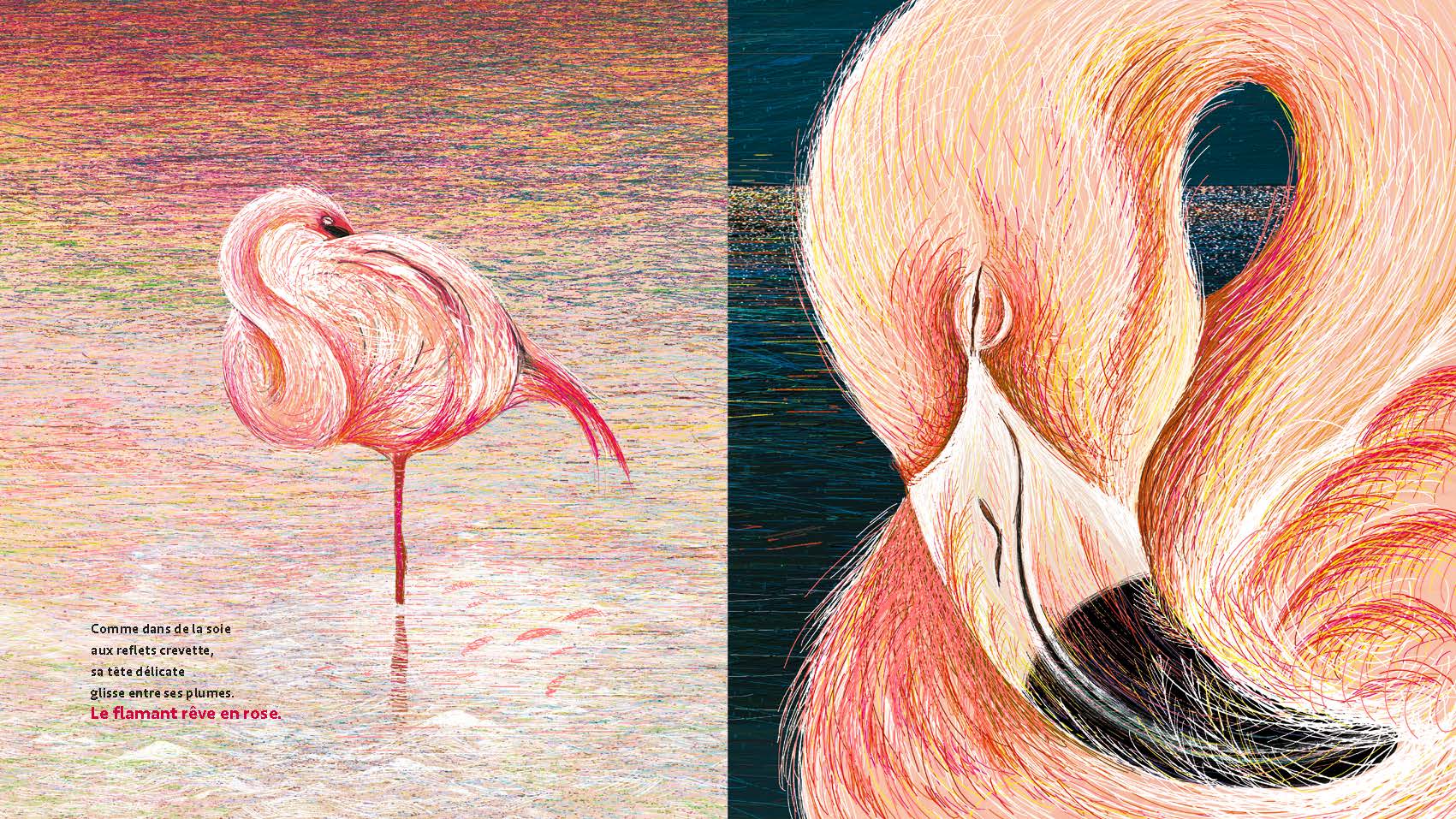 Illustrations jpeg Doux Rêveurs