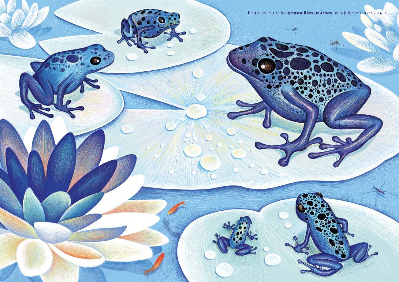 Illustrations jpeg heure bleue