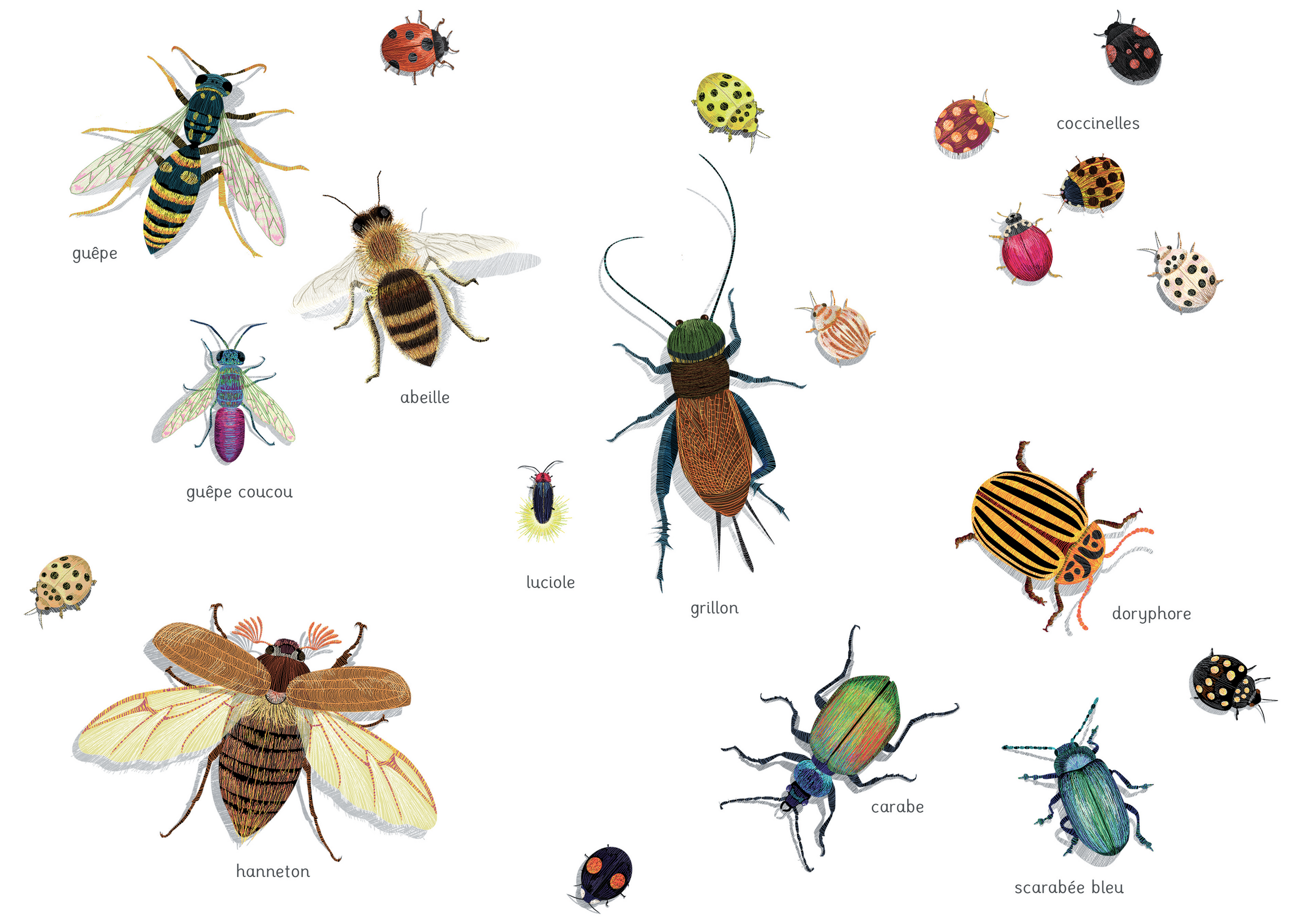 Illustrations jpeg La Toile