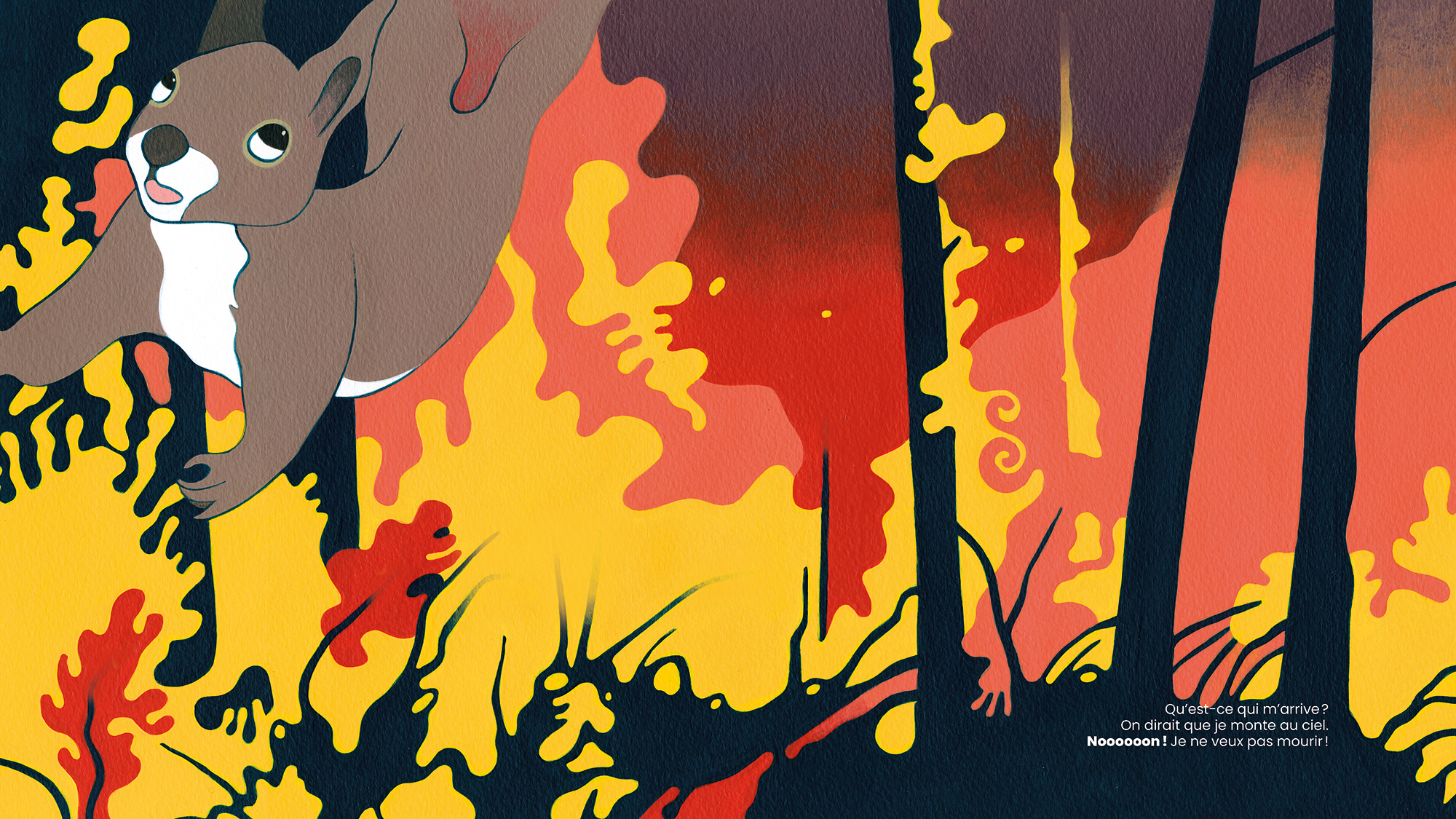 Illustrations png Feu