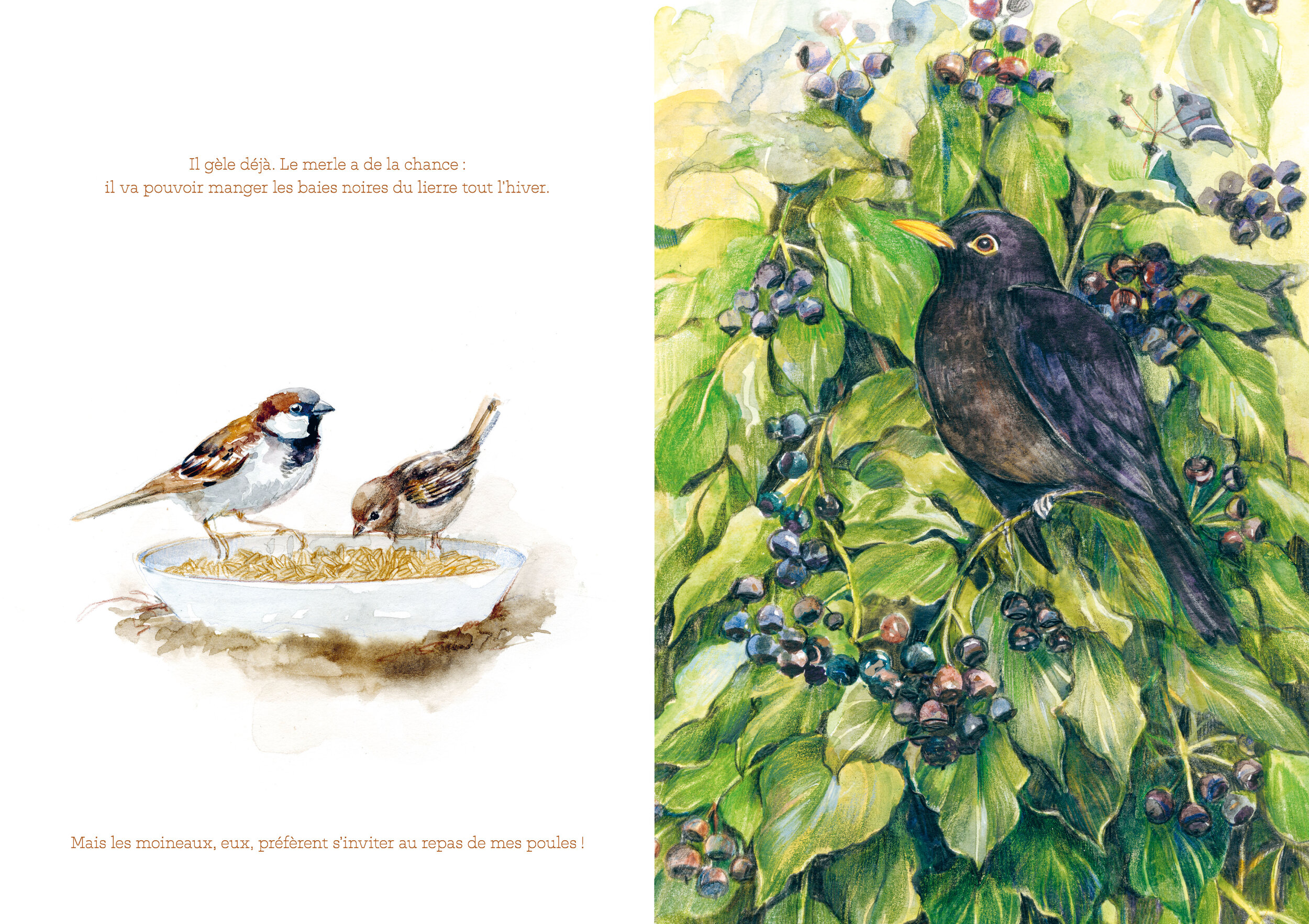 ECL PDF HD Cest un petit jardin_Page_09