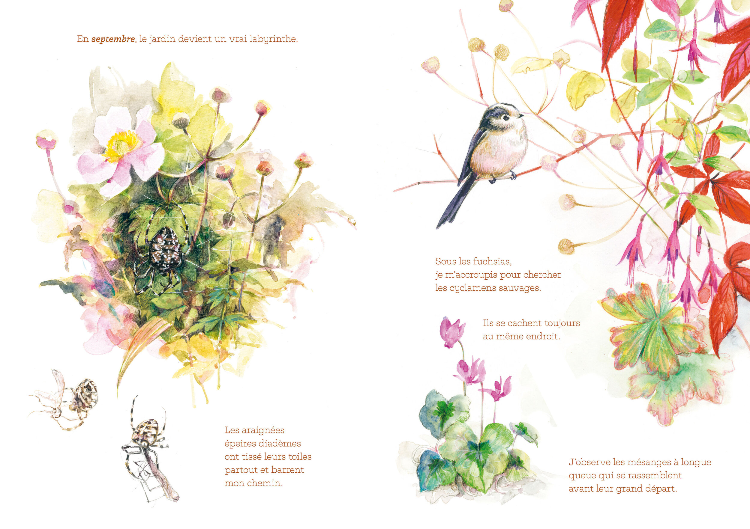 ECL PDF HD Cest un petit jardin_Page_06 BD