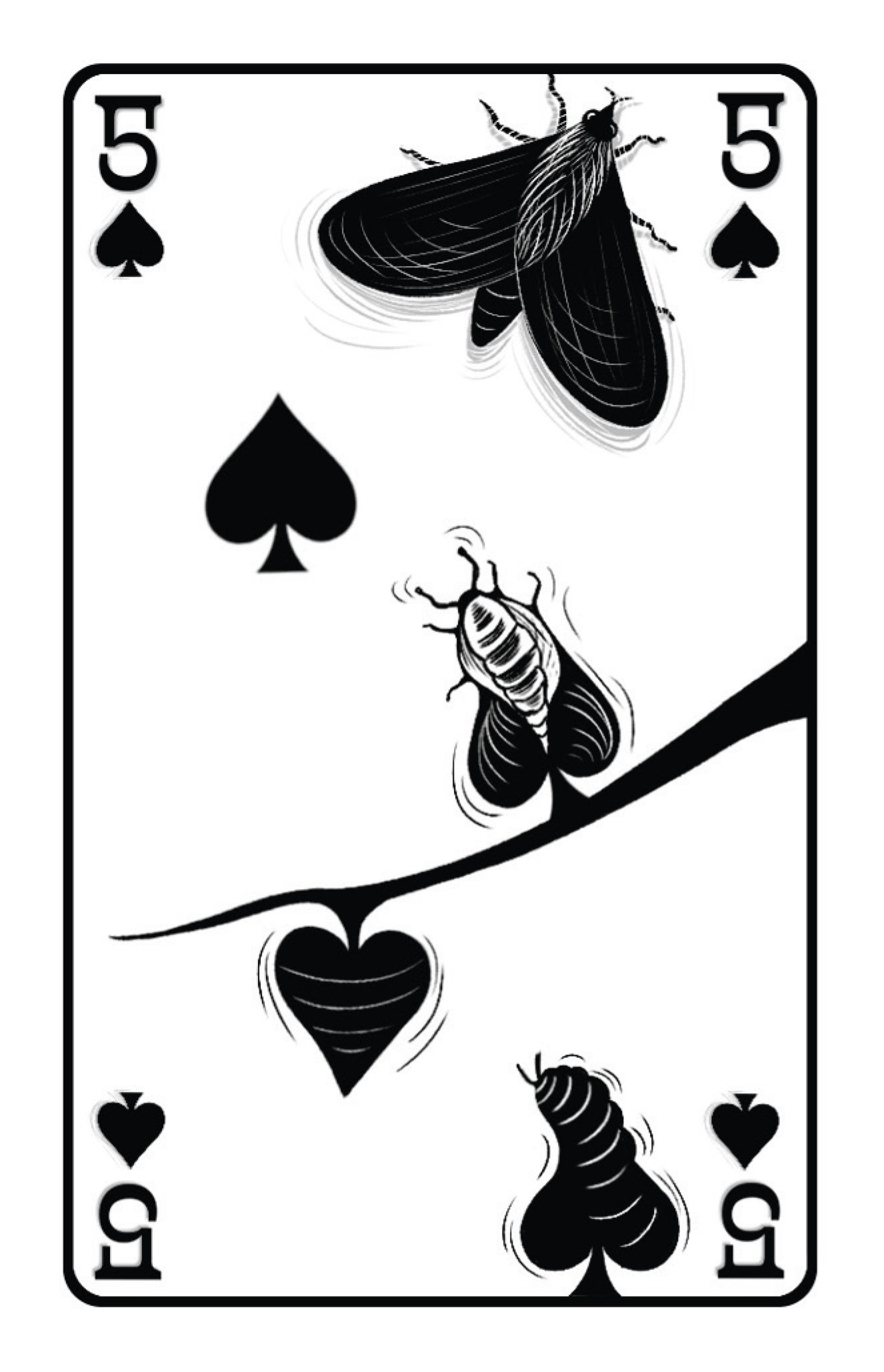 ECL Cartes Alice NEW_Page_061