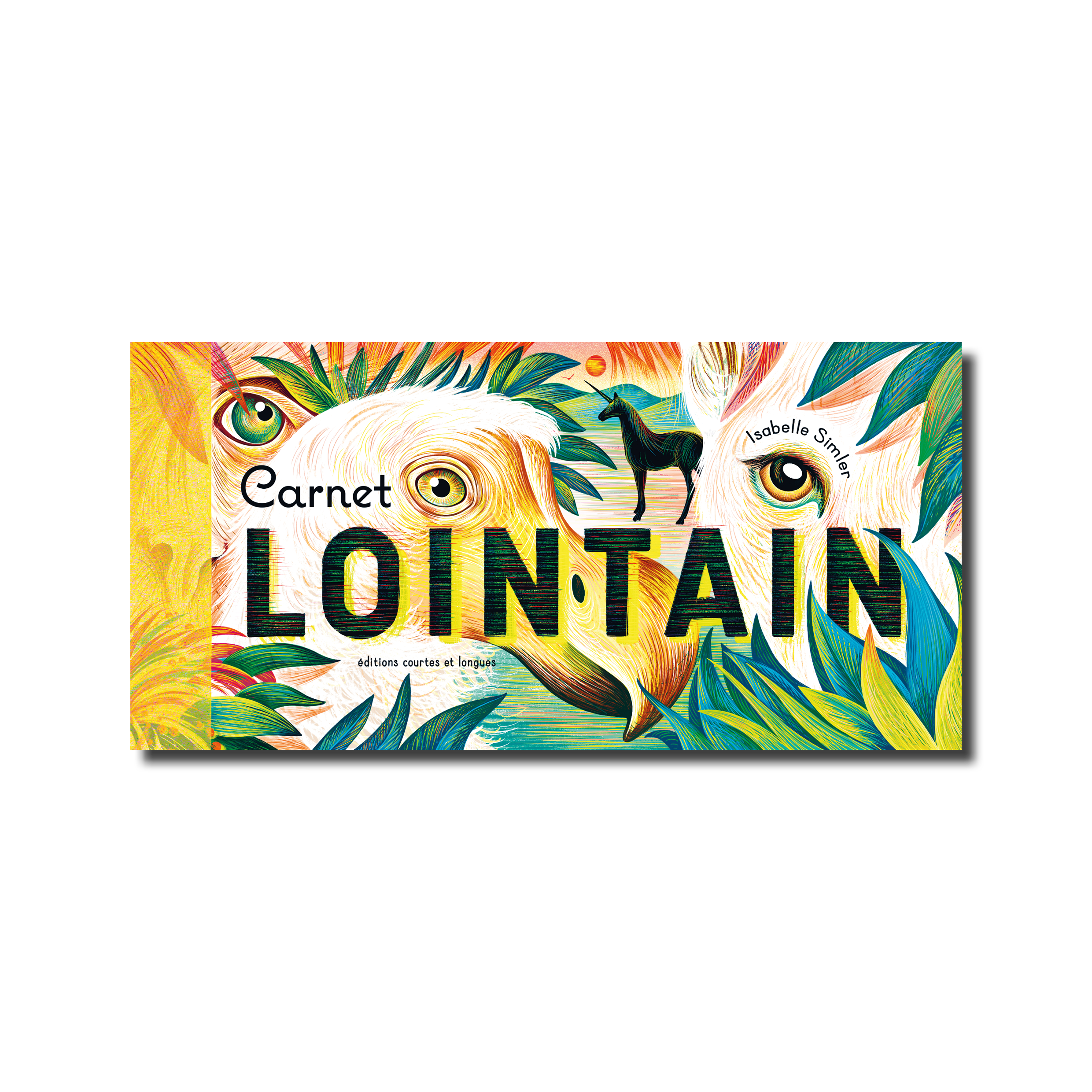 couv relief carnet lointain