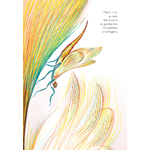 Illustrations Vivant