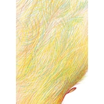Illustrations Vivant