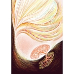 Illustrations Vivant
