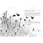 Illustrations jpeg Brume et les toucouleur