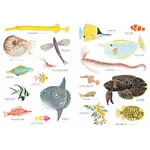 Illustrations jpeg Des vagues