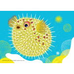 Illustrations jpeg Des vagues