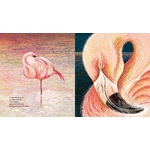 Illustrations jpeg Doux Rêveurs