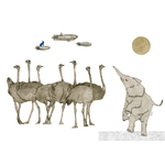 Illustrations jpeg Fanfan
