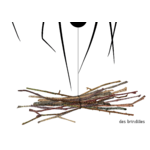 Illustrations jpeg La Toile