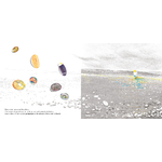 Illustrations jpeg Le caillou de Ferdinand