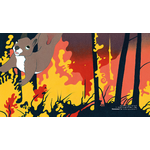 Illustrations png Feu