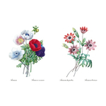 ECL Pdf Livre Choix des plus belles fleurs BD_Page_11