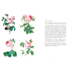 ECL Pdf Livre Choix des plus belles fleurs BD_Page_05
