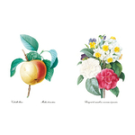 ECL Pdf Livre Choix des plus belles fleurs BD_Page_14