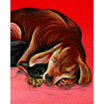 teaser mon chien savant v2-1