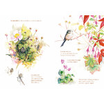 ECL PDF HD Cest un petit jardin_Page_06 BD