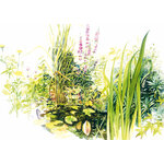 ECL PDF HD Cest un petit jardin_Page_24 BD