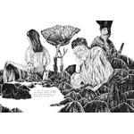 Illustrations jpeg Illustratio