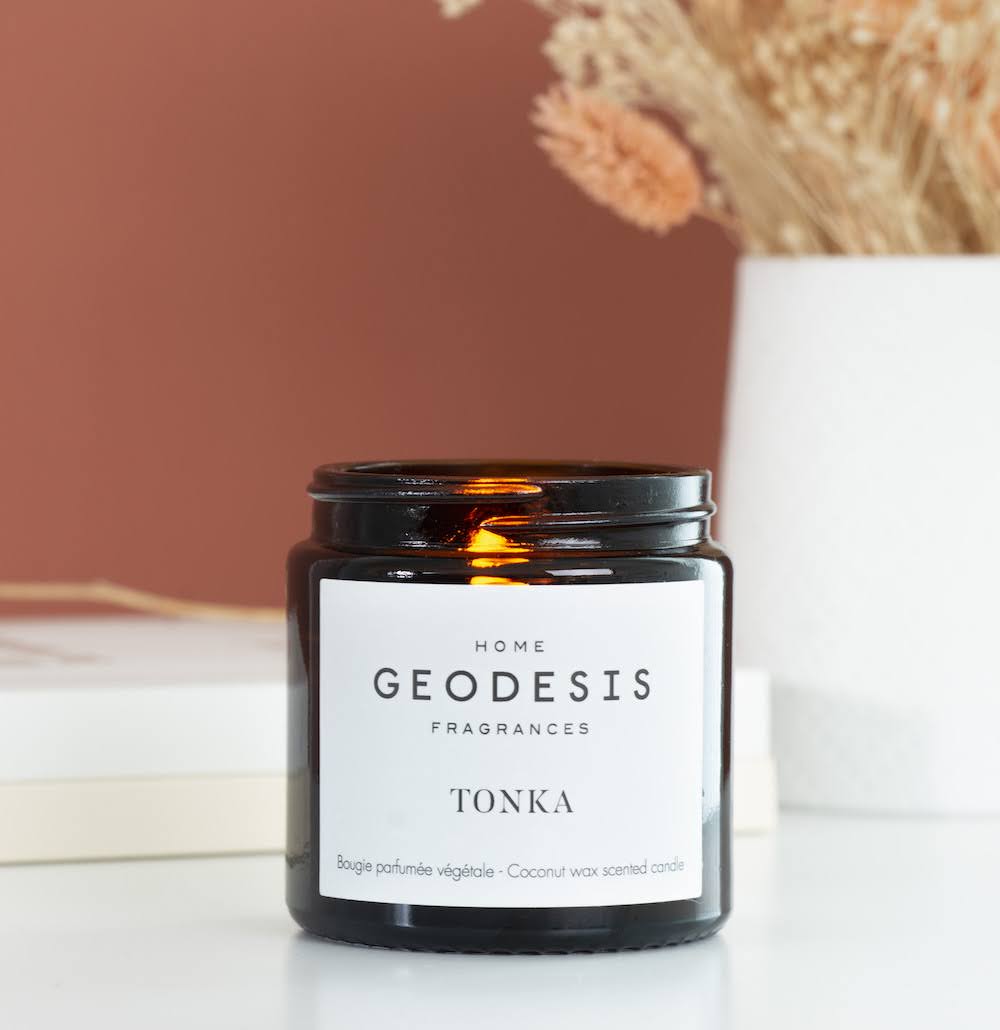 GEODESIS bouie Tonka 90g (4)