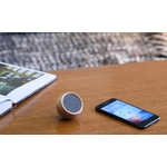 Gingko-Tumbler-Selfie-Bluetooth-Speaker-3