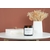 GEODESIS bougie Tonka 90g (1)