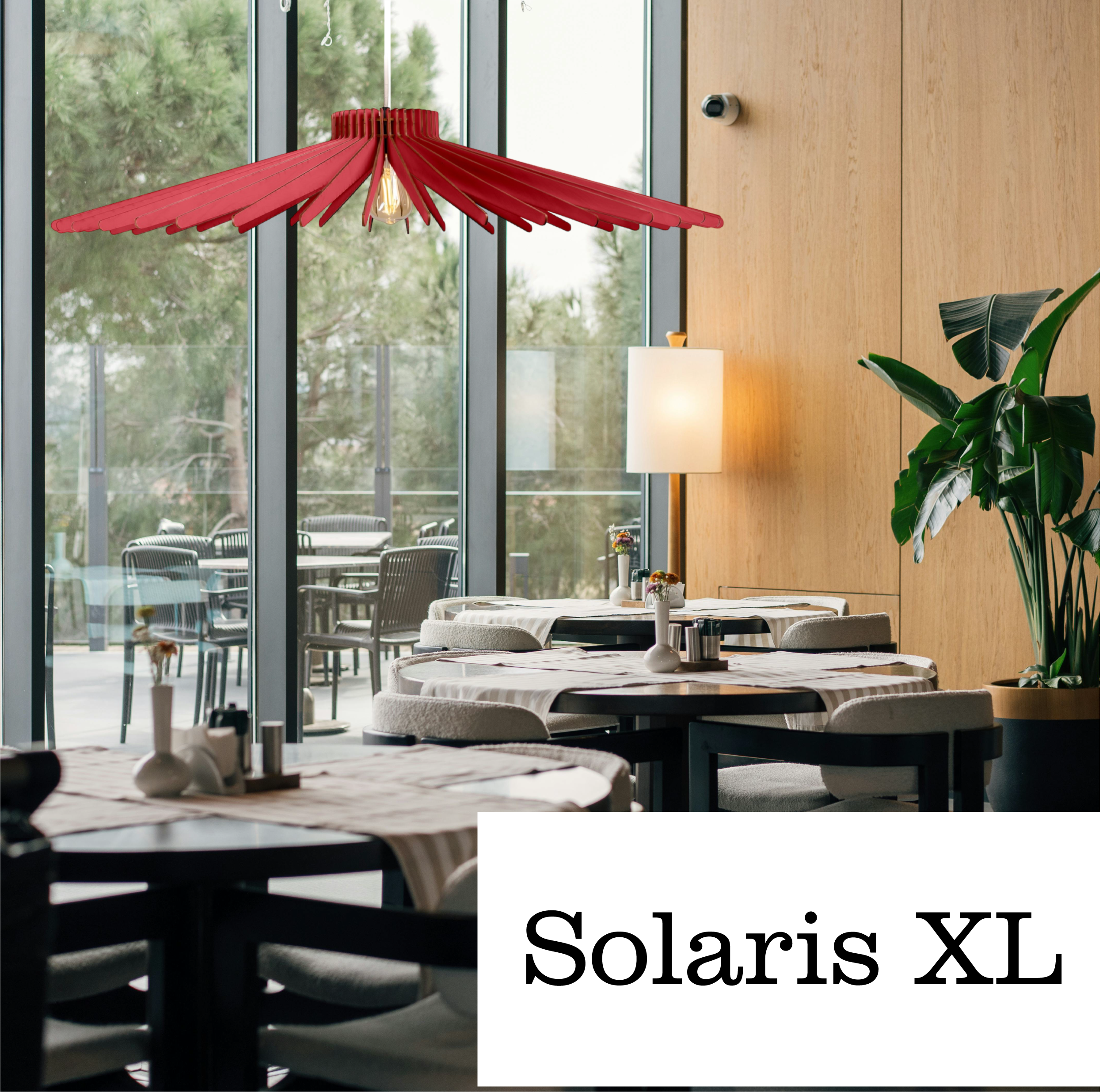 Solaris XL visuel