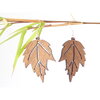 feuille-2-noyer