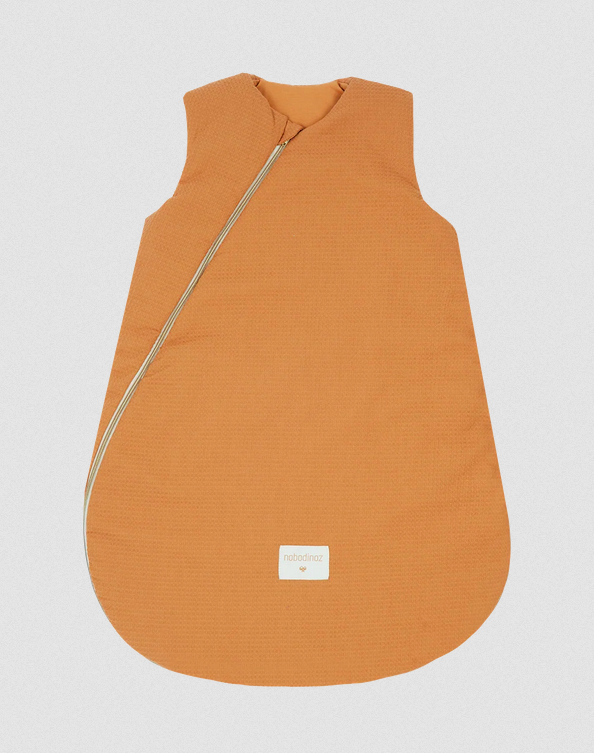 gigoteuse nid dabeille caramel2