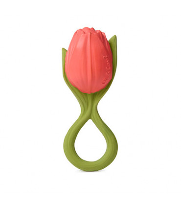 theo-the-tulip-oli-and-carol