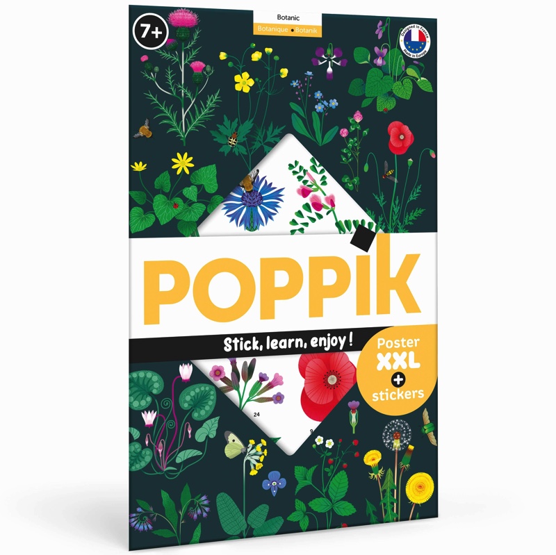 Poppik-botanique-fleurs-sauvages-lucie-brunelliere