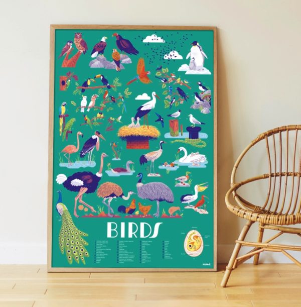 poppik-poster-pedagogique-stickers-oiseaux-birds-illustration-enfant-decoration-1-copie-600x611