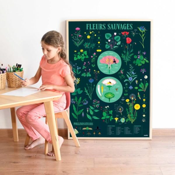POPPIK-posters-enfants-stickers-botanique-fleurs-sauvages-naturaliste-4-600x600